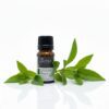 Sutra Patchouli Essential Oil