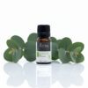 Sutra Eucalyptus Pure Essential Oil