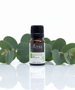 Sutra Eucalyptus Pure Essential Oil