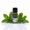 Sutra Peppermint Pure Essential Oil